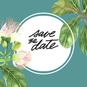 Philippine flora save the date invitation barringtonia astatica botong