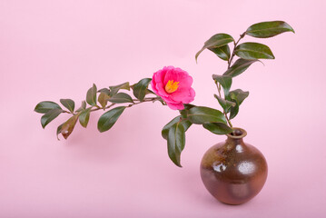 ピンクの背景の花瓶に挿したピンクのサザンカの花