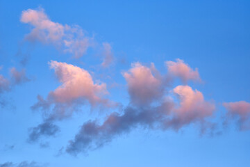 Fluffy clouds with colorful light in the evening