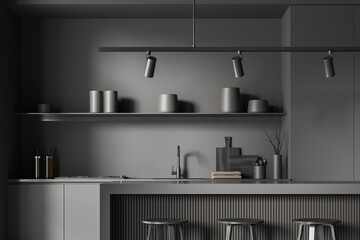 Grey kitchen interior with countertop, shelf with kitchenware and seats