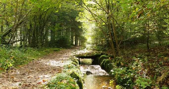 Hotzenwald im Naturpark S&uuml;dschwarzwald - Heidenwuhr mit viel Sand, Erde une Laub in das Wuhr Hangkanal entlang Holzenpfad bis Glash&uuml;tten und Kreisstra&szlig;e