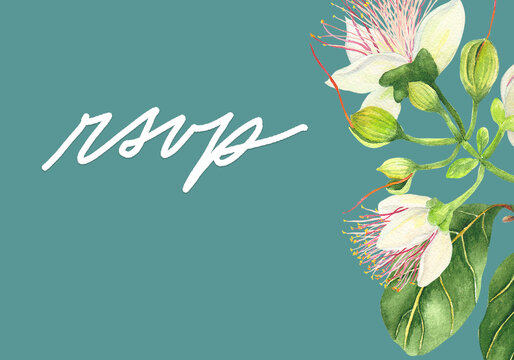 Philippine flora RSVP Card Template Barringtonia asiatica
