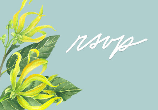 Philippine flora RSVP Card Template Cananga odorata ylang ylang