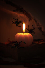 Book and pumpkin with spiders for halloween