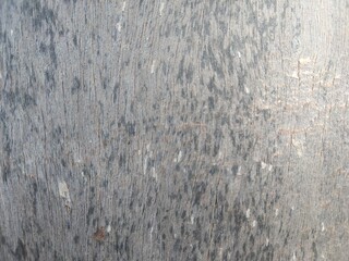 Fototapeta premium texture of wood