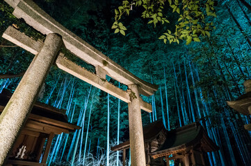 京都 夜の高台寺に映える鳥居と竹林のライトアップ