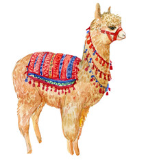 Alpaca watercolor illustration - 540403106