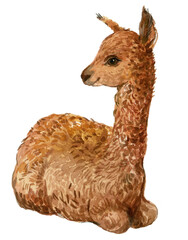 Alpaca watercolor illustration - 540403146