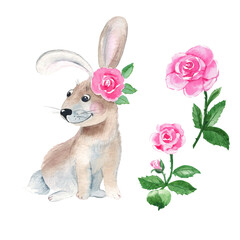 Cute bunny with pink roses isolated on white background. Watercolor hand drawn illustration. Perfect for kid cards, baby shower, clothes prints, decals.