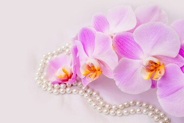 The branch of purple orchids on white fabric background
