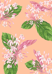 Philippine Flora Envelope liner invitation design Clerodendrum quadriloculare Bagawak Morado
