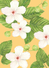 Philippine Flora Envelope liner invitation design Katmon Dillenia Philippinensis