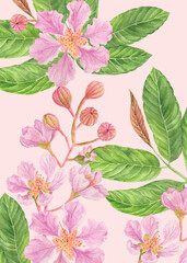 Philippine Flora Envelope liner invitation design Lagerstroemia speciosa Banaba