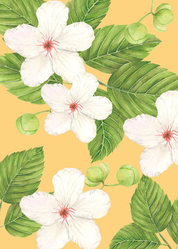 Philippine Flora Envelope liner invitation design Katmon Dillenia Philippinensis © Anina Rubio