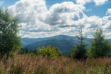Velka Raca and few other hills from forest glade bellow Javorske hill summit in Kysucke Beskydy...