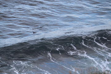 Ecosse, Grande bretagne