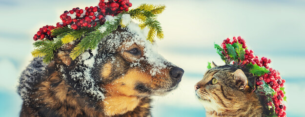 Funny dog and cat with Christmas wreath sitting together outdoors on the snow in winter. Christmas...