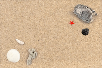 Coquillages sur fond de sable fin avec espace libre.	