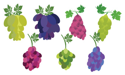Grapes Vector Collection 