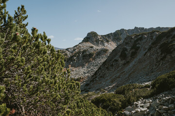 rocks in the mountains