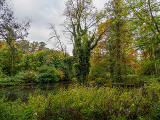 Obraz premium Herbst am Fluß Aa im Münsterland