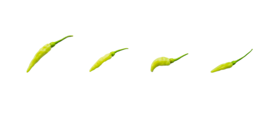 Group of green Karen chili isolated on a white background.