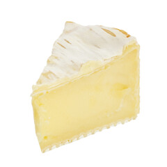 Piece of camembert cheese isolated on white background, full depth of field. File contains clipping path.