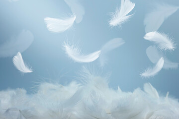 Abstract White Bird Feathers Falling in The Air. Softness of Swan Feather Floating.