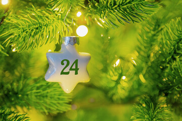 ein Weihnachtsstern mit einer Zahl (24) am Weihnachtsbaum