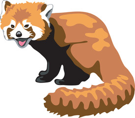 Red panda vector