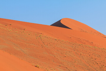 Fototapeta na wymiar The famous dune 45. The Namib-Naukluft National Park of Namibia.