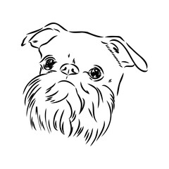 Brussels Griffon Dog, Pet Portrait, Brussels Griffon Dog Line Art, Pet Line Art, Pet Tattoo, Line Drawing, Dog Art, Minimalist