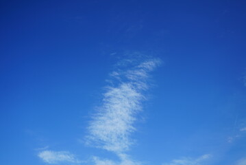 It’s sunny today! Let’s go on a picnic