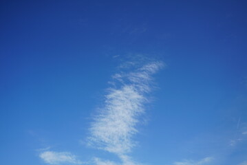 It’s sunny today! Let’s go on a picnic