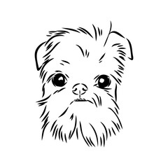 Brussels Griffon Dog, Pet Portrait, Brussels Griffon Dog Line Art, Pet Line Art, Pet Tattoo, Line Drawing, Dog Art, Minimalist