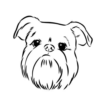 Brussels Griffon Dog, Pet Portrait, Brussels Griffon Dog Line Art, Pet Line Art, Pet Tattoo, Line Drawing, Dog Art, Minimalist