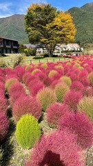 t the beginning of fall