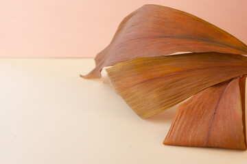 dried brown leaves on pink background. wallpaper autumn image. creative composition. copy space
