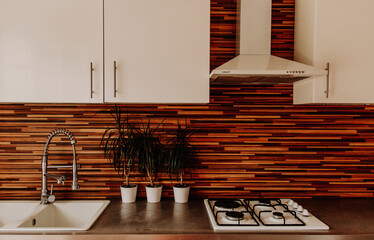 Cuisine moderne avec crédence en bois