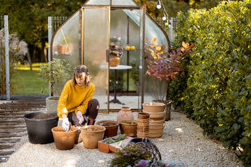 Woman planting flower bulbs in clay jugs for growing in glass orangery at garden. Florist gardening...