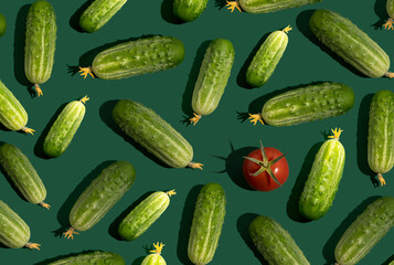 Cucumber pattern. Cucumbers on a green background. Vegetables. Tomatoes food