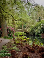 English Spring Garden with Pond