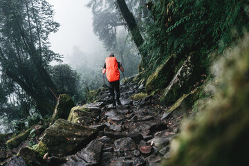 Solo hiker wearing professional backpack covered rain protect walk across foggy jungle mountain. Young tourist traveling along rocky forest trek - obrazy, fototapety, plakaty