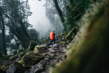 Young hiker traveling across hazy mountain forest. Man tourist walk by foggy rocky track wearing backpack