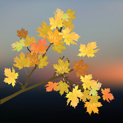 Fototapeta na wymiar golden maple tree branch on dark background