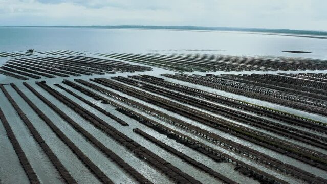 Parc &agrave; Huitres drone Normandie avec travailleurs 