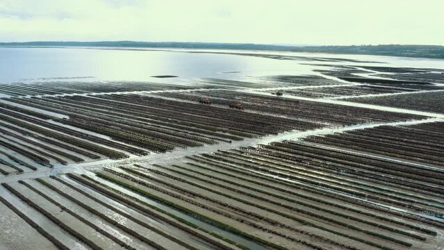 Parc &agrave; Huitres drone Normandie 