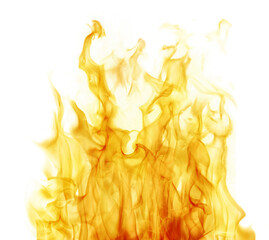 dense bright orange flames isolated on white