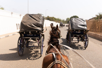Horse carriage in a road of Edfu City - obrazy, fototapety, plakaty