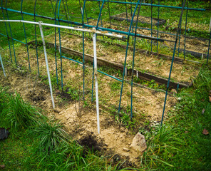 fertilisers for beds